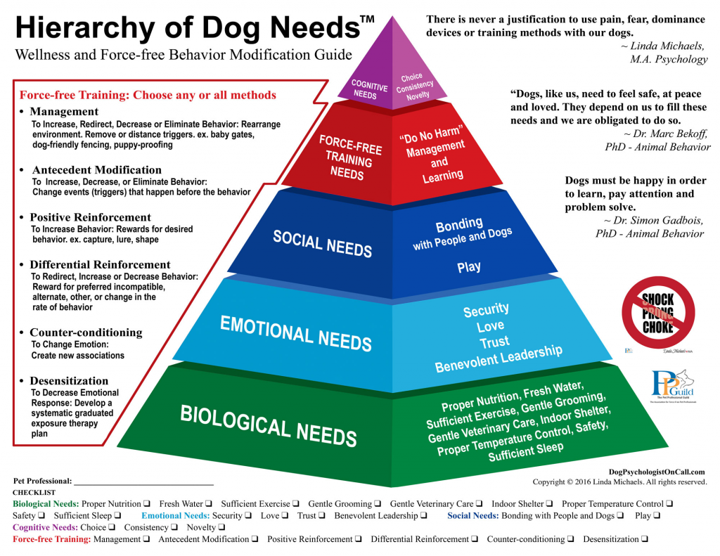 hiearchy of dog needs