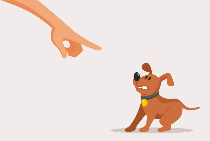 hond niet corrigeren